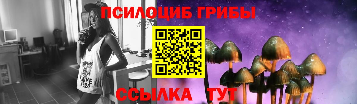 Псилоцибиновые грибы Magic Shrooms  Галлюциногенные грибы Magic Shrooms  Вход с VPN  Кохма 